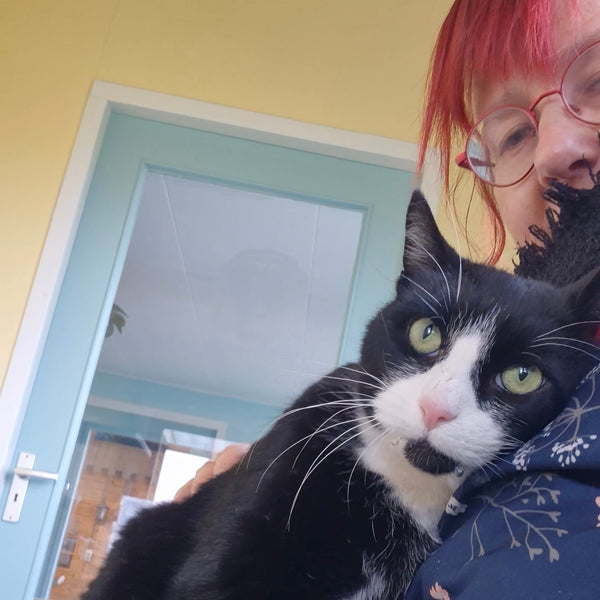 Jip zoekt een liefdevol baasje. Wil je meer ove...