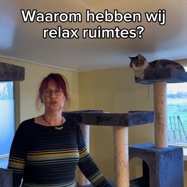 Waarom hebben wij relax ruimtes?