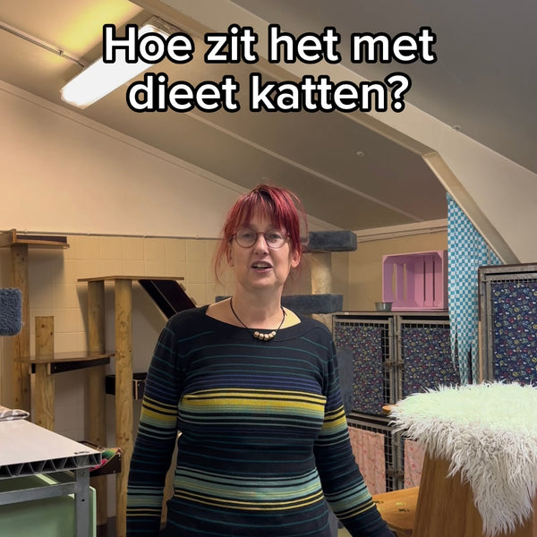 Katten met een eigen dieet zijn ook welkom bij ...