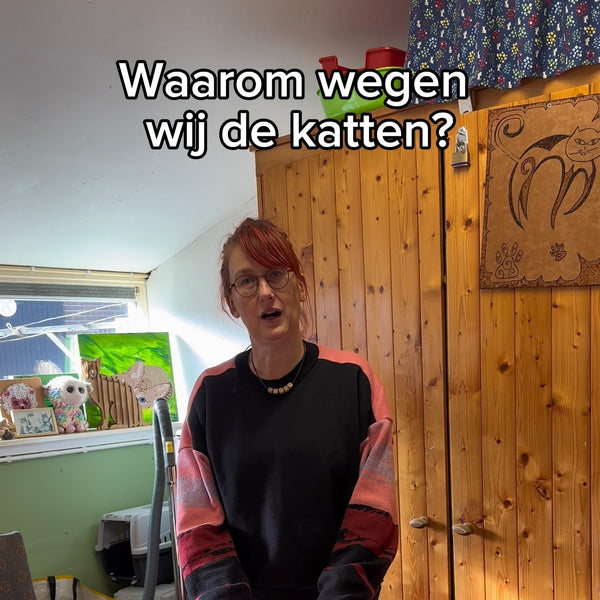 Waarom wegen wij de katten?